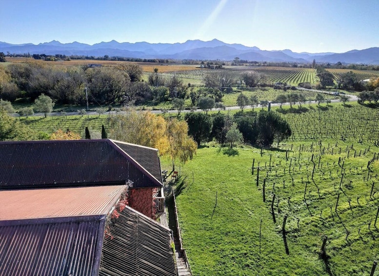 Picture 4 for Activity Marlborough: Craft Beer, Roots Gin, and Whisky Tour