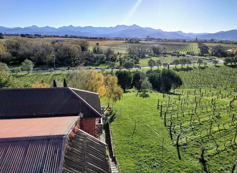 Picture 4 for Activity Marlborough: Craft Beer, Roots Gin, and Whisky Tour