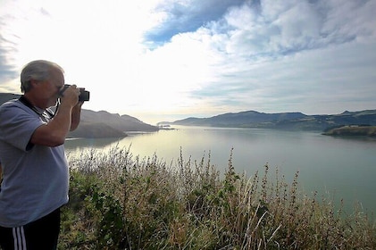 Small Group half Day Christchurch Scenic Highlights Tour