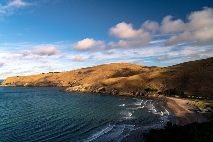 Small Group half Day Christchurch Hills, Harbour & Beach Tour