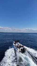 Trebeurden : Excursion Signature Locquirec