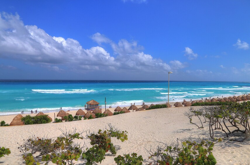 Double Adventure! Catamaran to Isla Mujeres and Cancun Hop-on Hop-off tour