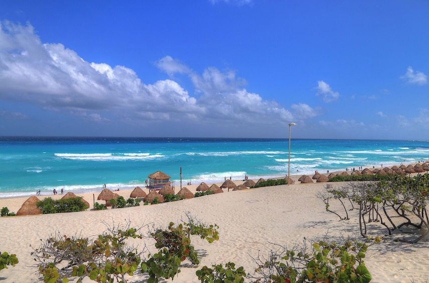 Double Adventure! Catamaran to Isla Mujeres and Cancun Hop-on Hop-off tour