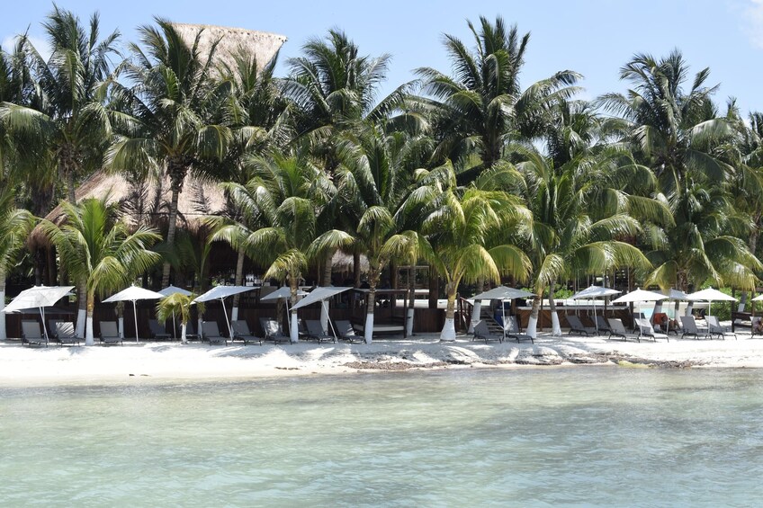 Double Adventure! Catamaran to Isla Mujeres and Cancun Hop-on Hop-off tour