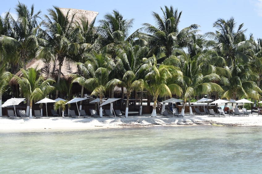 Double Adventure! Catamaran to Isla Mujeres and Cancun Hop-on Hop-off tour