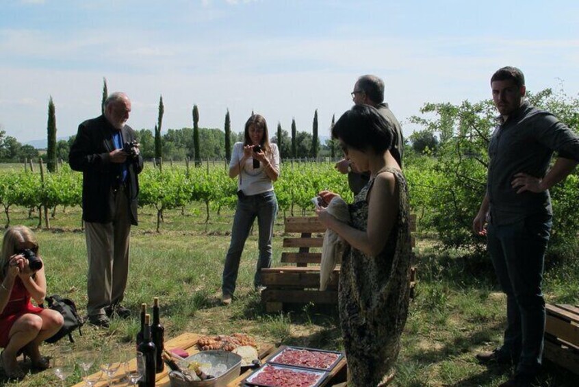 From Barcelona Wine Tasting in 2 Priorat Wineries and Food