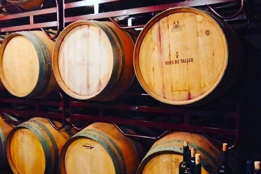 From Barcelona Wine Tasting in 2 Priorat Wineries and Food