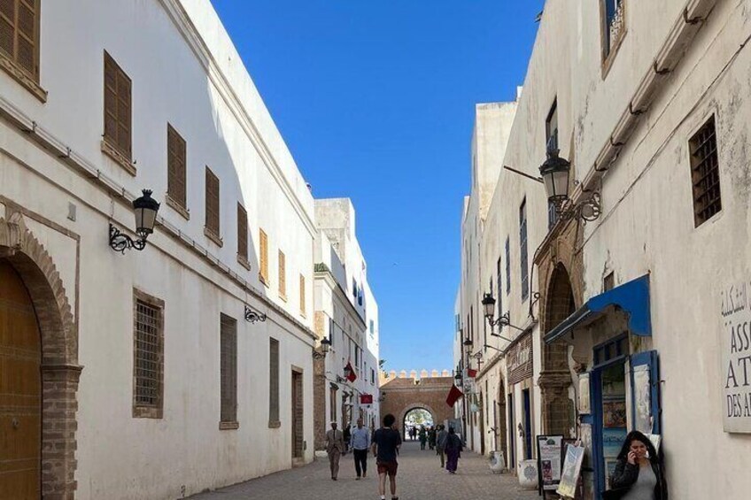 Day Trip to Essaouira from Agadir or Taghazout