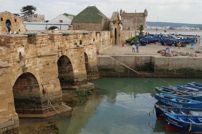 Day Trip to Essaouira from Agadir or Taghazout