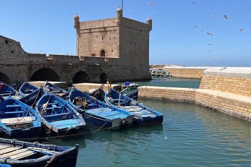 Day Trip to Essaouira from Agadir or Taghazout