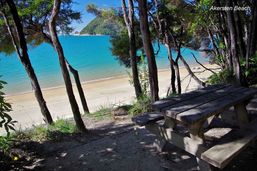 Picture 7 for Activity Abel Tasman National Park Cruise and Walking Tour Combo