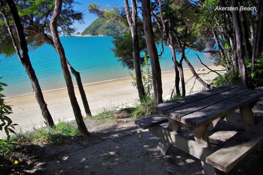 Picture 7 for Activity Abel Tasman National Park Cruise and Walking Tour Combo