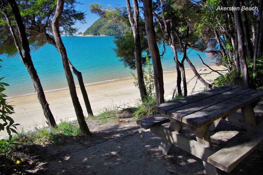 Picture 7 for Activity Abel Tasman National Park Cruise and Walking Tour Combo