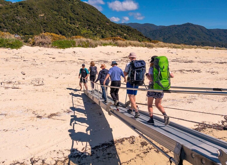 Picture 4 for Activity Abel Tasman National Park Cruise and Walking Tour Combo