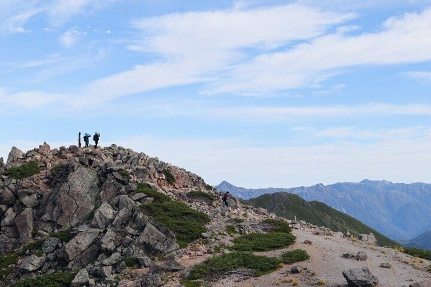 From Takayama Mt. Norikura Alpine Flowers and Panoramic Peaks
