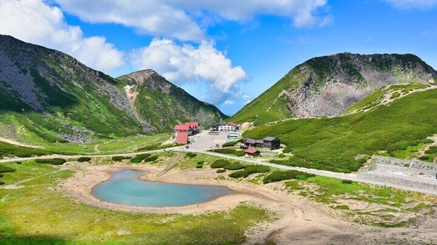 From Takayama Mt. Norikura Alpine Flowers and Panoramic Peaks
