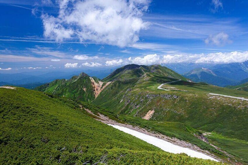 From Takayama Mt. Norikura Alpine Flowers and Panoramic Peaks