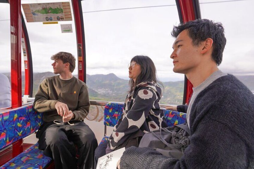 Art and Nature Hakone Full Day Chartered Private Tour