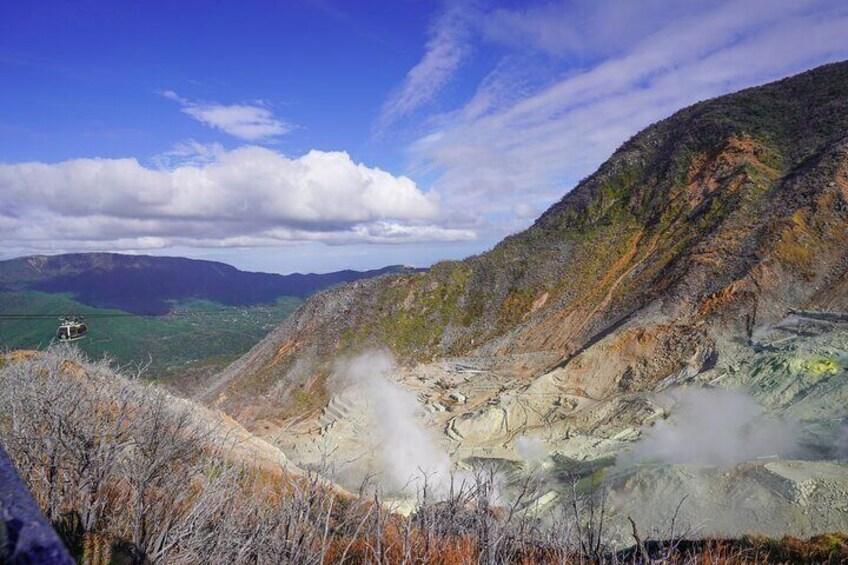 Art and Nature Hakone Full Day Chartered Private Tour