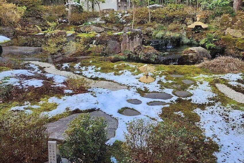 Nagano Snow Monkey Park With Beef Sukiyaki And Gods Wine Tour