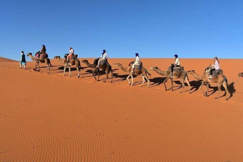 4 Days Desert Tour from Marrakech to Merzouga and Camel Trek