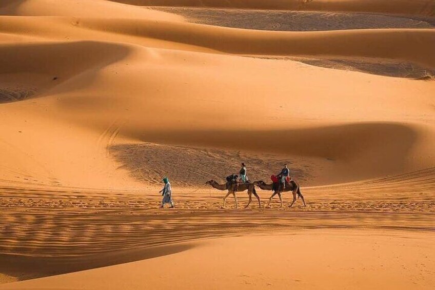 4 Days Desert Tour from Marrakech to Merzouga and Camel Trek