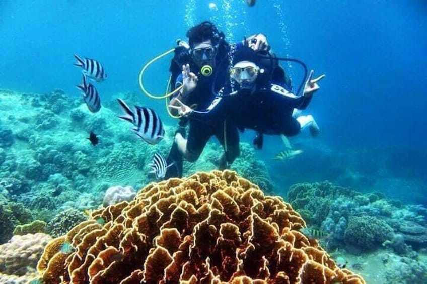 Nha Trang Scuba Diving Tour – Marine Park (2 Dives for Non-Certified)