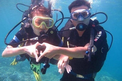 Nha Trang Scuba Diving Tour Marine Park 2 Dives for Beginner