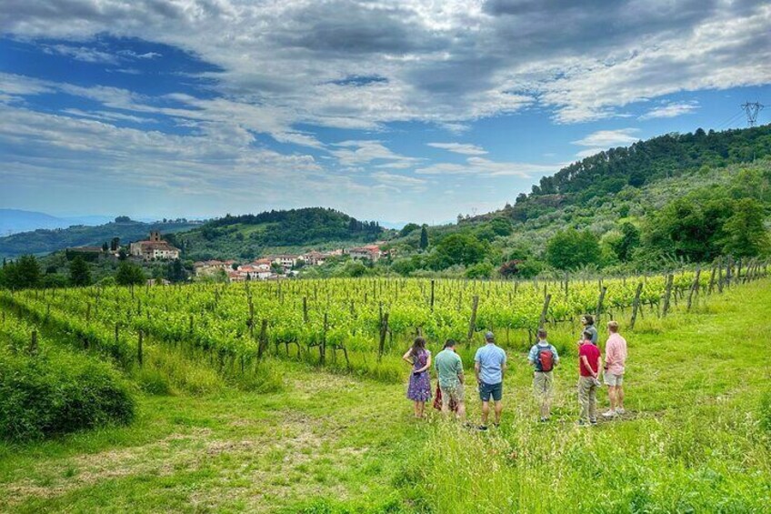 Only small groups with Tuscany Uncorked