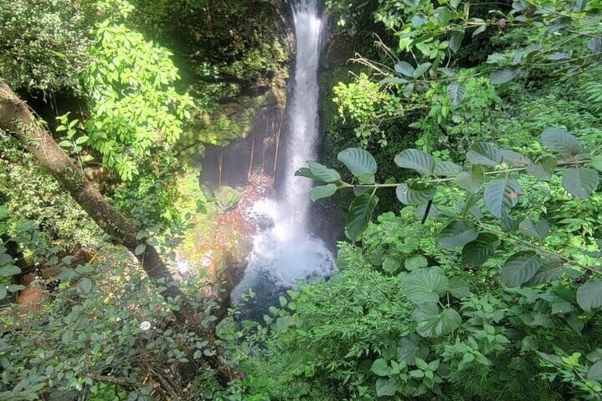 El Tigre Waterfalls Hike