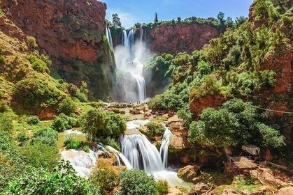 Marrakech Medina Souks and Hidden Gems Walking Tour
