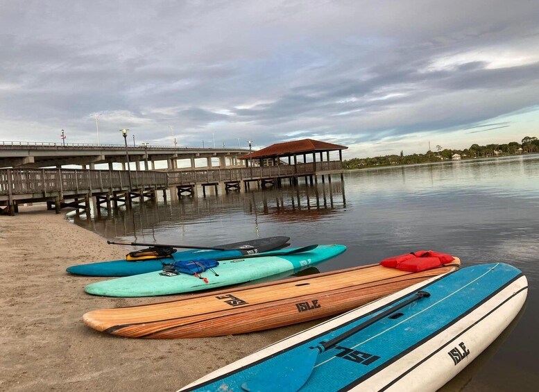 Picture 5 for Activity Self-Guided Kayak/SUP Tour King’s Bay/ Three Sisters Springs