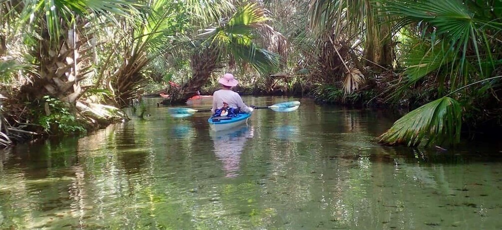 Picture 1 for Activity Self-Guided Kayak/SUP Tour King’s Bay/ Three Sisters Springs