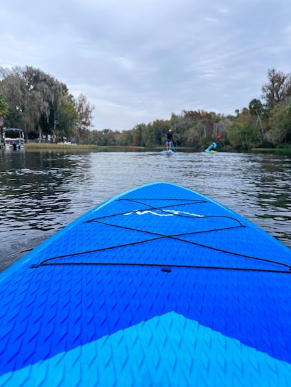 Picture 3 for Activity Self-Guided Kayak/SUP Tour King’s Bay/ Three Sisters Springs