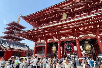 Tokyo Private 1-dagstur med bil med lokal guide