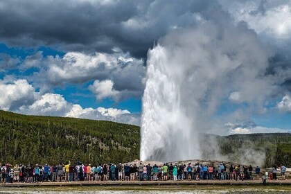 Las Vegas Yellowstone National Park 7 Day Tour From Los Angeles