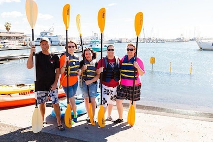 Santa Barbara Harbour Kayak Tour