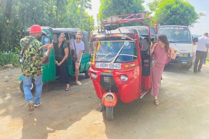 Kandy, Sigiriya and Pidurangala Rock Tuk Tuk Safari