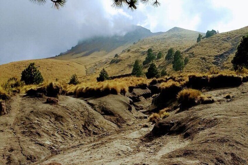 Hiking Activity to the Top of La Malinche from Puebla