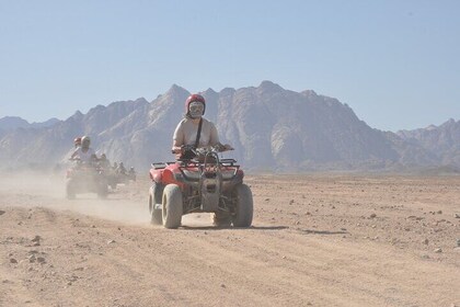 Exciting Family Safari quad bike Quad, Buggy & Bedouin Night - Hurghada