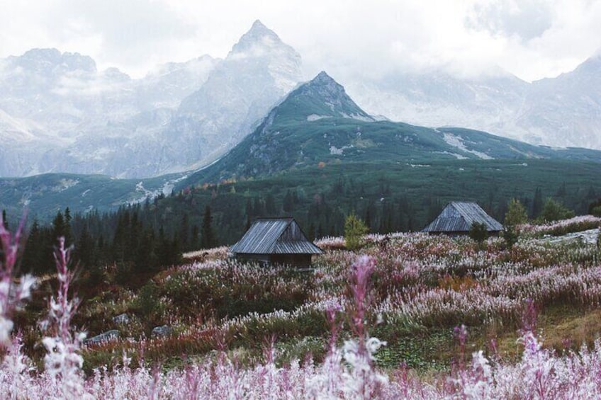 Small-Group Thermal Baths and Nature of Tatra Tour from Cracow