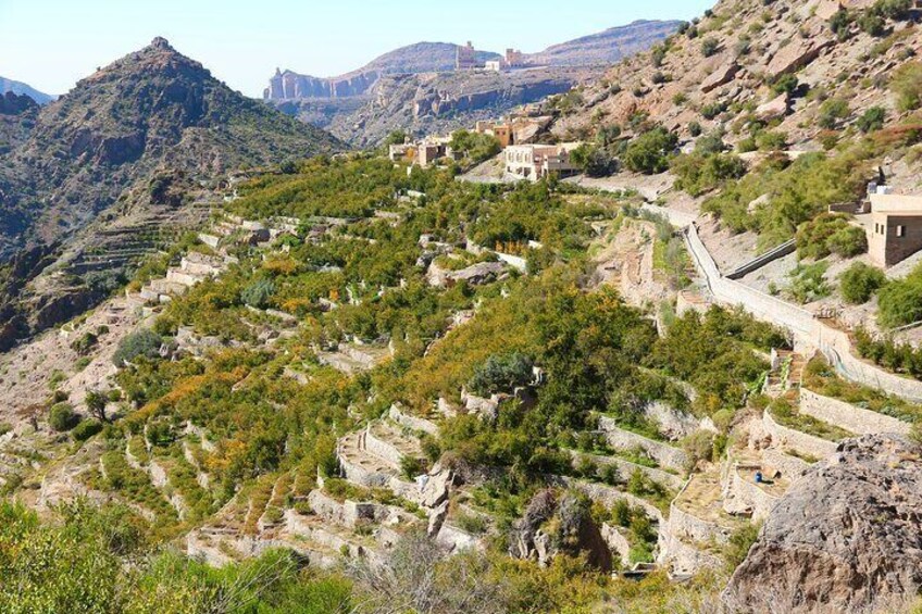 Jabal Al Akhdar Special Private Tour