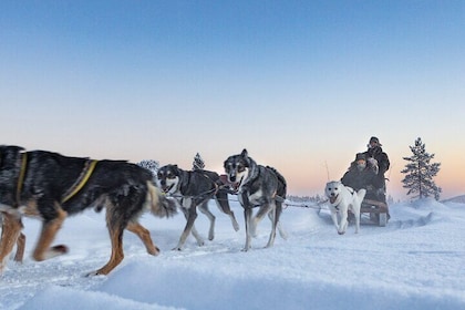 Sunset Zen Husky Tour
