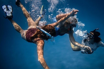 Snorkelling Adventure in Caloura, S. Miguel