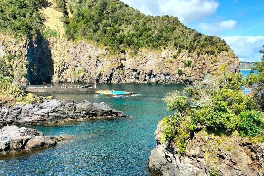 Snorkeling Adventure in Caloura, S. Miguel