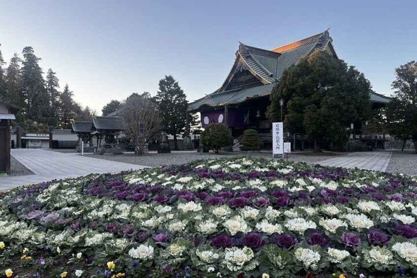 Discover Narita's Temple by Train and Ferry