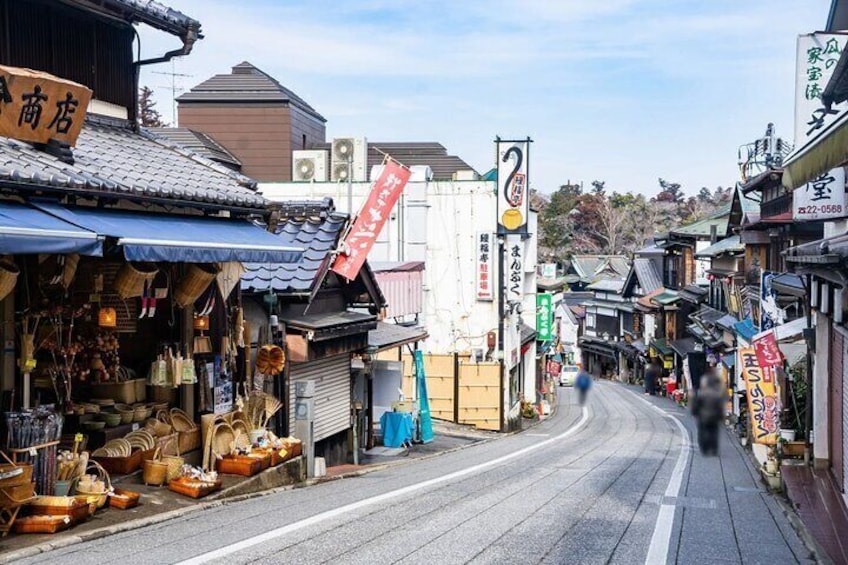 Discover Narita's Temple by Train and Ferry