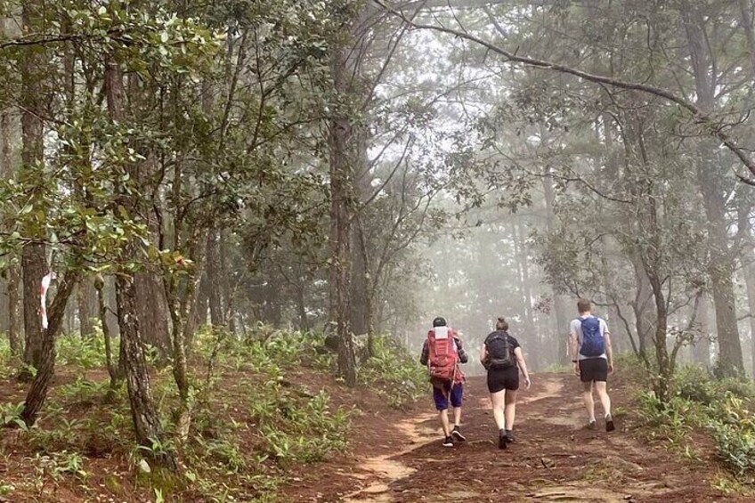 Dalat 2 Days Eco Trekking Tour