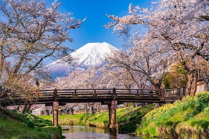 From Tokyo: Mount Fuji Sightseeing One Day Trip