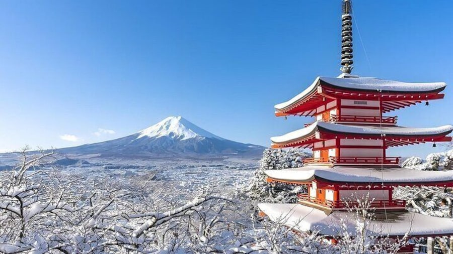 From Tokyo: Mount Fuji Sightseeing One Day Trip